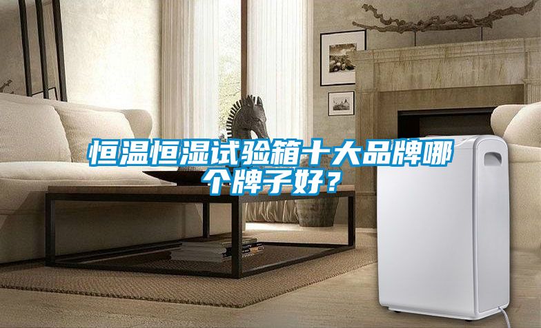 恒溫恒濕試驗(yàn)箱十大品牌哪個(gè)牌子好？