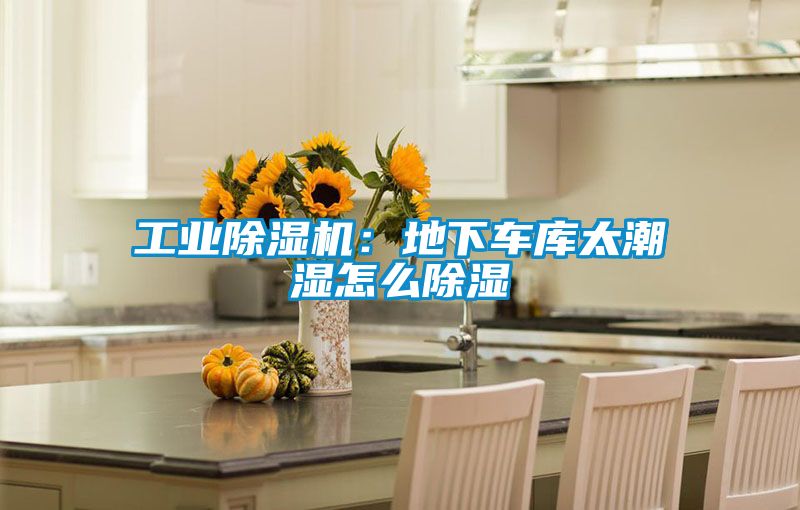 工業(yè)除濕機(jī):地下車庫太潮濕怎么除濕