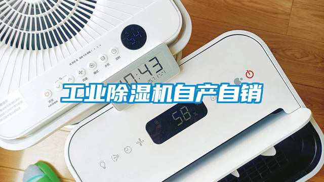 工業(yè)除濕機自產自銷