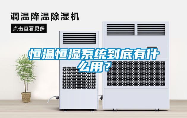 恒溫恒濕系統(tǒng)到底有什么用？
