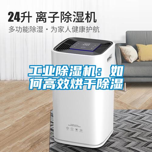 工業(yè)除濕機(jī):如何高效烘干除濕