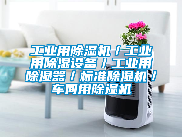 工業(yè)用除濕機(jī)/工業(yè)用除濕設(shè)備/工業(yè)用除濕器/標(biāo)準(zhǔn)除濕機(jī)/車間用除濕機(jī)
