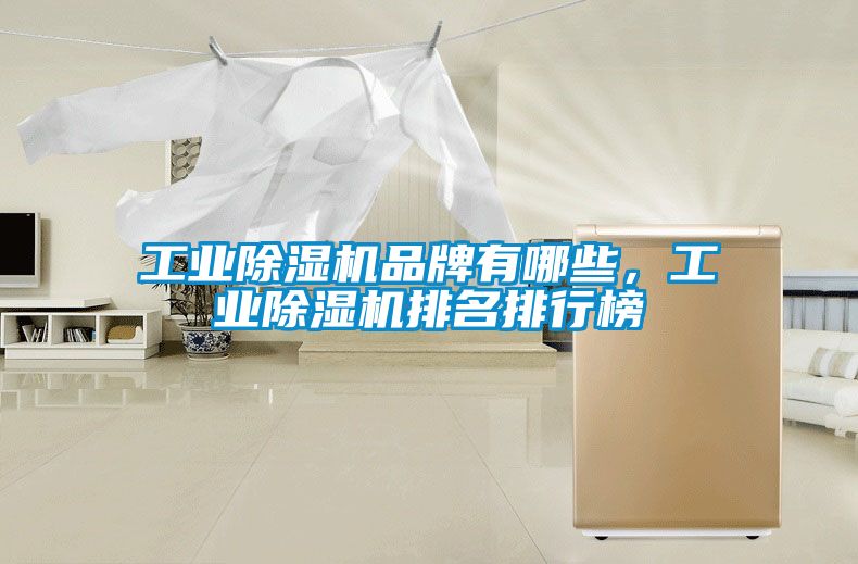 工業(yè)除濕機(jī)品牌有哪些，工業(yè)除濕機(jī)排名排行榜