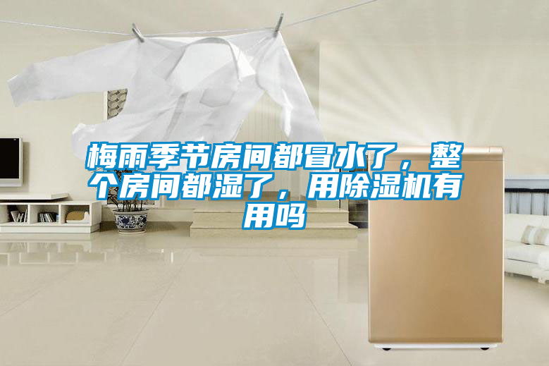 梅雨季節(jié)房間都冒水了，整個房間都濕了，用除濕機有用嗎