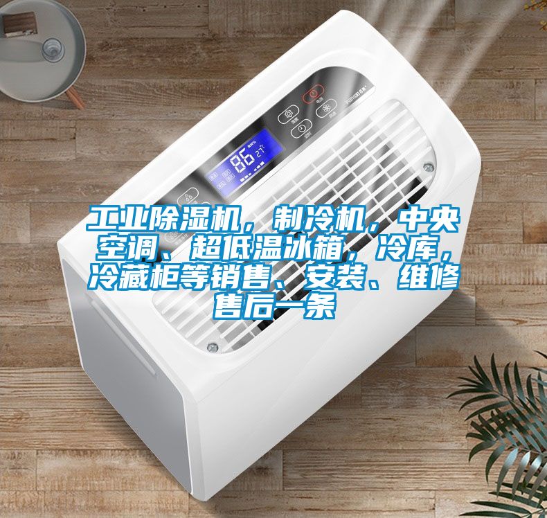 工業(yè)除濕機，制冷機，中央空調(diào)、超低溫冰箱，冷庫，冷藏柜等銷售、安裝、維修售后一條