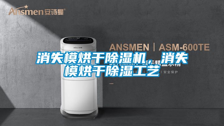 消失模烘干除濕機(jī)，消失模烘干除濕工藝