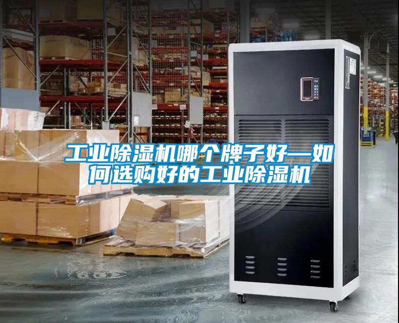 工業(yè)除濕機(jī)哪個(gè)牌子好—如何選購(gòu)好的工業(yè)除濕機(jī)