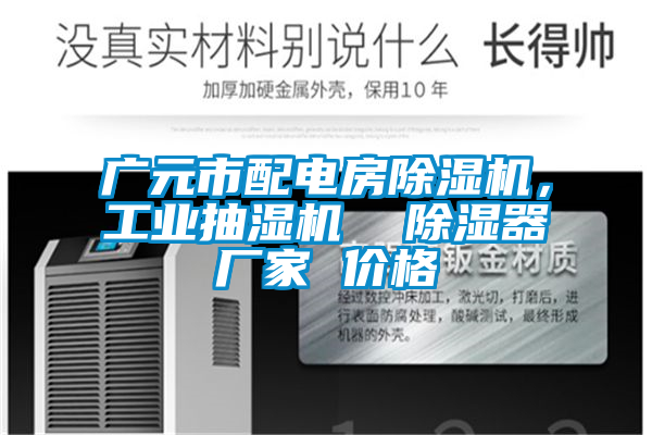 廣元市配電房除濕機(jī)，工業(yè)抽濕機(jī)  除濕器廠家 價格