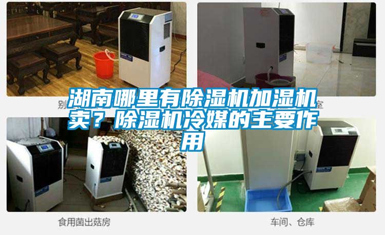 湖南哪里有除濕機加濕機賣？除濕機冷媒的主要作用