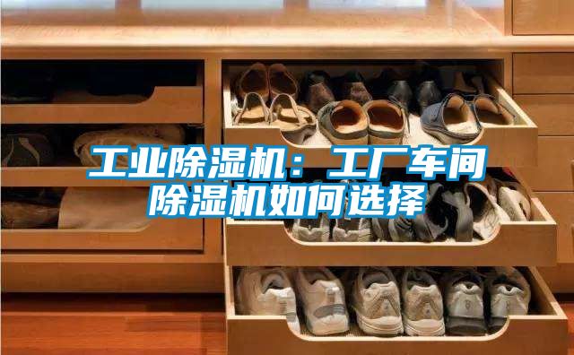 工業(yè)除濕機(jī):工廠車間除濕機(jī)如何選擇