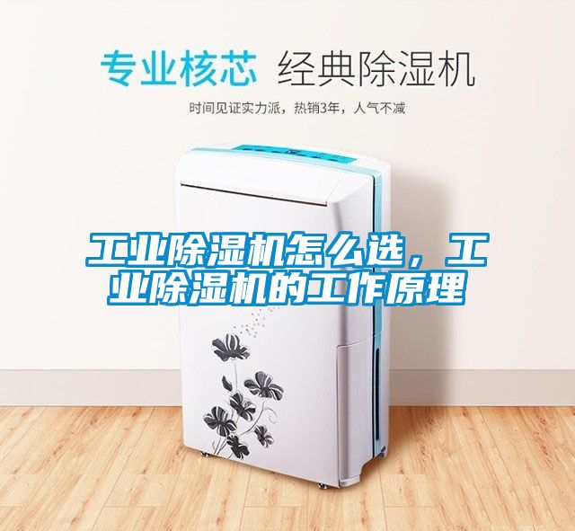 工業(yè)除濕機怎么選，工業(yè)除濕機的工作原理