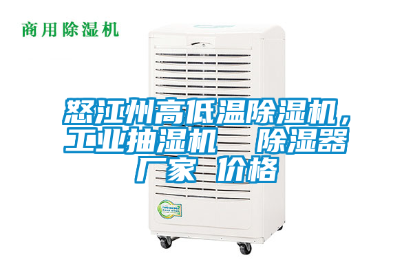 怒江州高低溫除濕機，工業(yè)抽濕機  除濕器廠家 價格