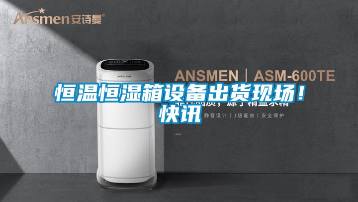 恒溫恒濕箱設(shè)備出貨現(xiàn)場！快訊