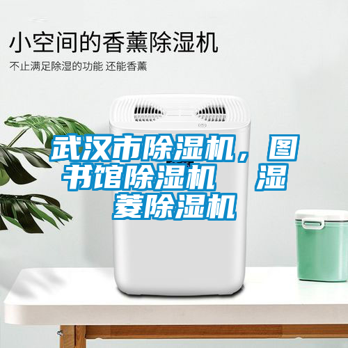 武漢市除濕機(jī),圖書館除濕機(jī) 濕菱除濕機(jī)