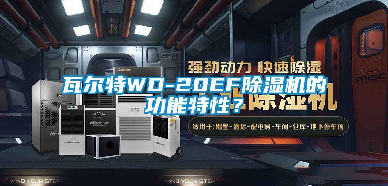 瓦爾特WD-20EF除濕機(jī)的功能特性？