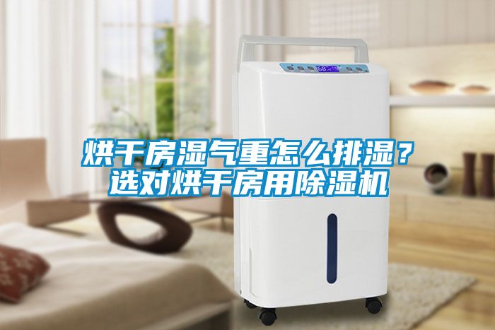 烘干房濕氣重怎么排濕？選對烘干房用除濕機