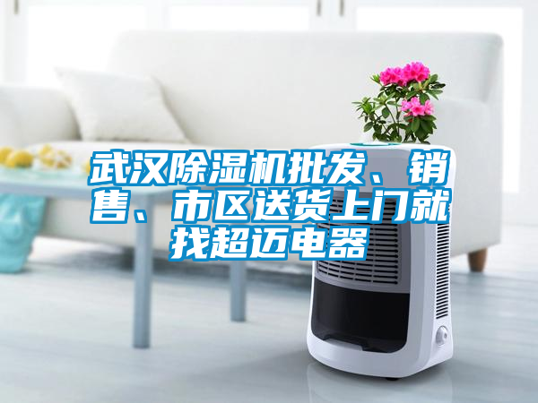 武漢除濕機(jī)批發(fā)、銷售、市區(qū)送貨上門就找超邁電器