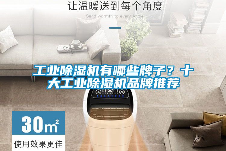 工業(yè)除濕機(jī)有哪些牌子？十大工業(yè)除濕機(jī)品牌推薦