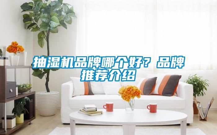 抽濕機(jī)品牌哪個(gè)好？品牌推薦介紹