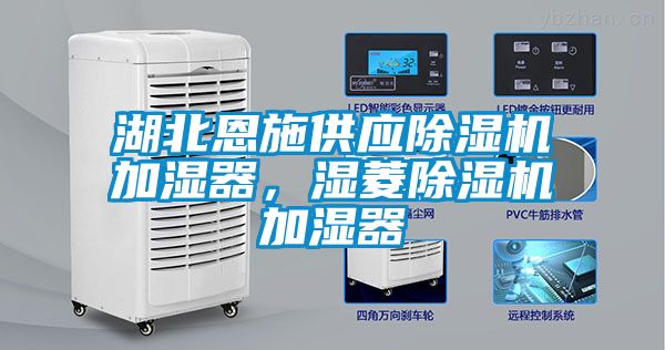 湖北恩施供應(yīng)除濕機(jī)加濕器，濕菱除濕機(jī)加濕器