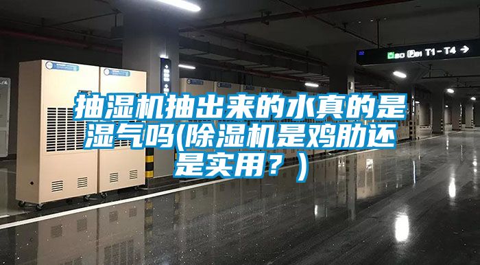 抽濕機抽出來的水真的是濕氣嗎(除濕機是雞肋還是實用？)