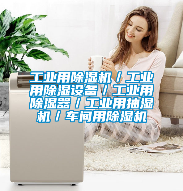 工業(yè)用除濕機/工業(yè)用除濕設(shè)備/工業(yè)用除濕器/工業(yè)用抽濕機/車間用除濕機