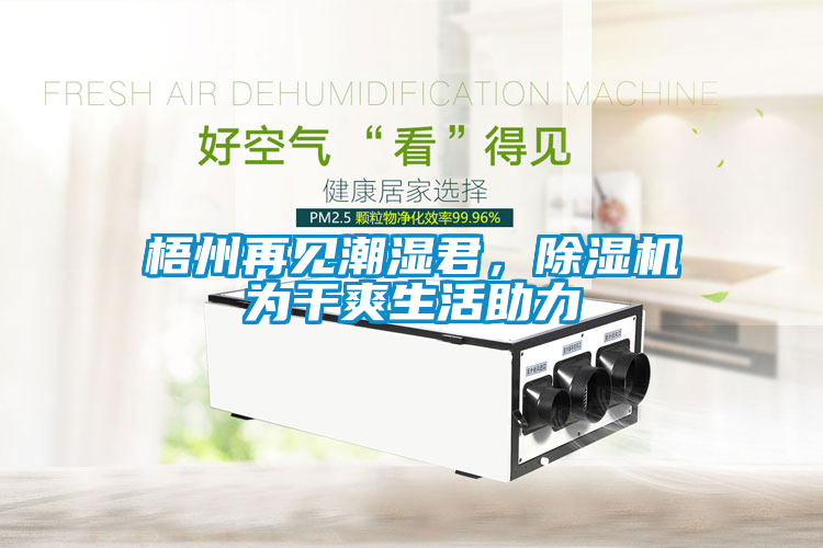 梧州再見潮濕君，除濕機(jī)為干爽生活助力
