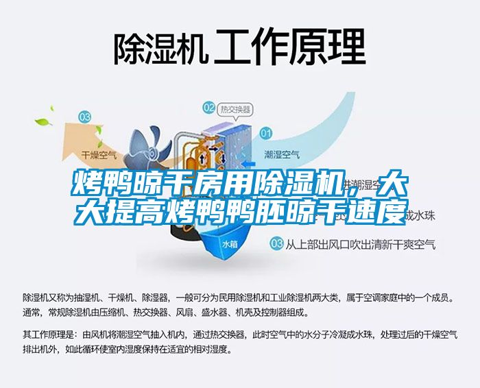 烤鴨晾干房用除濕機(jī)，大大提高烤鴨鴨胚晾干速度