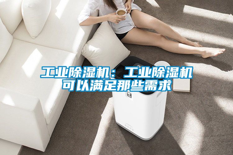 工業(yè)除濕機(jī):工業(yè)除濕機(jī)可以滿足那些需求