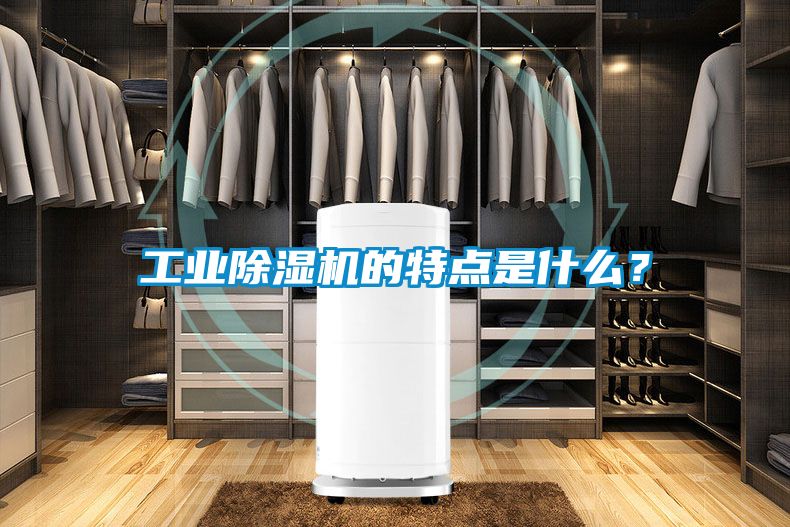 工業(yè)除濕機(jī)的特點(diǎn)是什么？