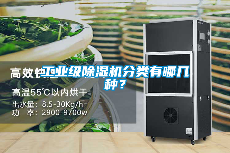 工業(yè)級(jí)除濕機(jī)分類有哪幾種？