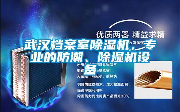 武漢檔案室除濕機，專業(yè)的防潮、除濕機設備