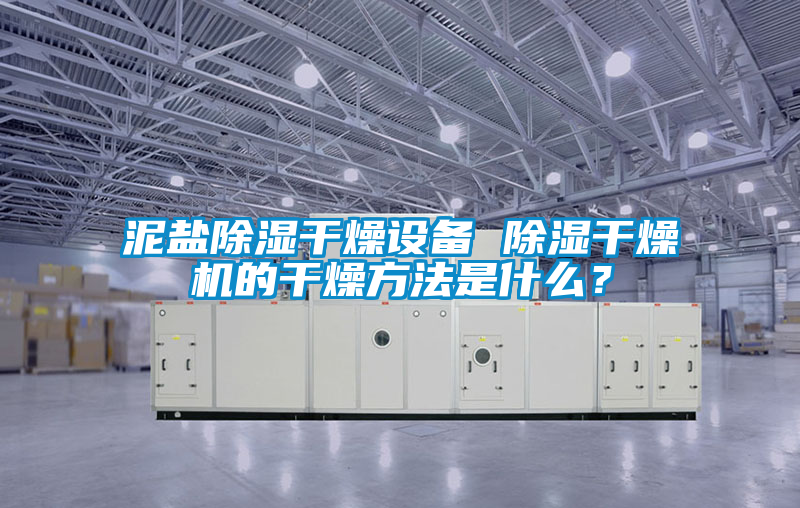 泥鹽除濕干燥設(shè)備 除濕干燥機的干燥方法是什么？