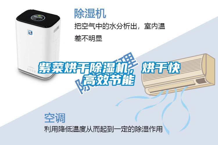 紫菜烘干除濕機(jī)，烘干快高效節(jié)能