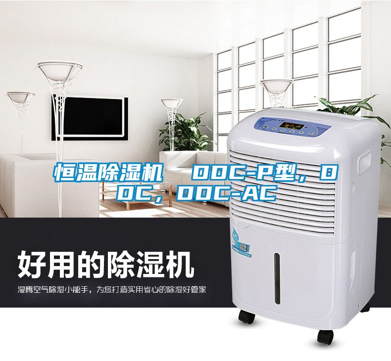恒溫除濕機(jī)  DDC-P型，DDC，DDC-AC