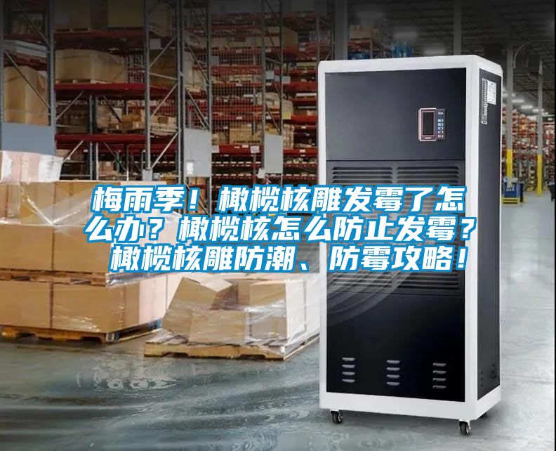 梅雨季！橄欖核雕發(fā)霉了怎么辦？橄欖核怎么防止發(fā)霉？ 橄欖核雕防潮、防霉攻略！