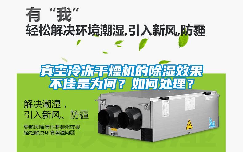 真空冷凍干燥機(jī)的除濕效果不佳是為何？如何處理？