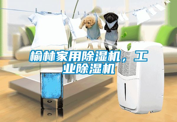 榆林家用除濕機，工業(yè)除濕機
