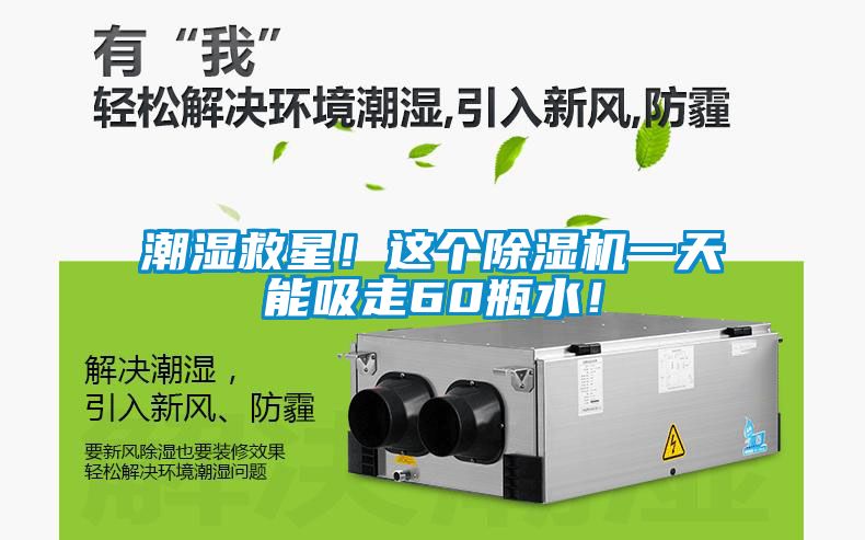 潮濕救星！這個(gè)除濕機(jī)一天能吸走60瓶水！