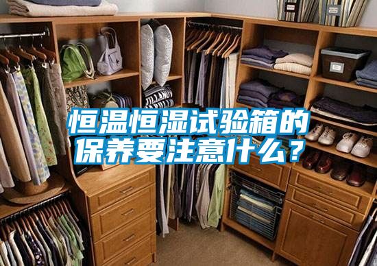 恒溫恒濕試驗(yàn)箱的保養(yǎng)要注意什么？