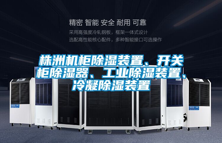株洲機柜除濕裝置、開關(guān)柜除濕器、工業(yè)除濕裝置、冷凝除濕裝置