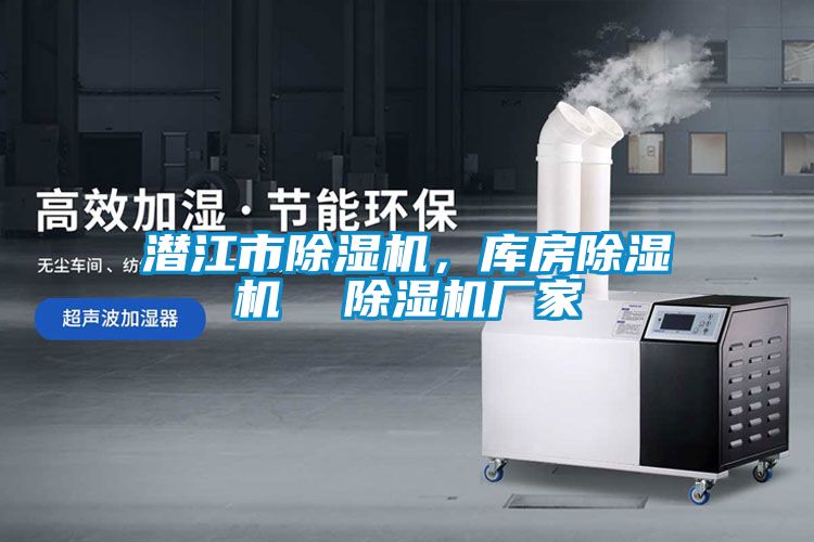 潛江市除濕機(jī)，庫房除濕機(jī)  除濕機(jī)廠家