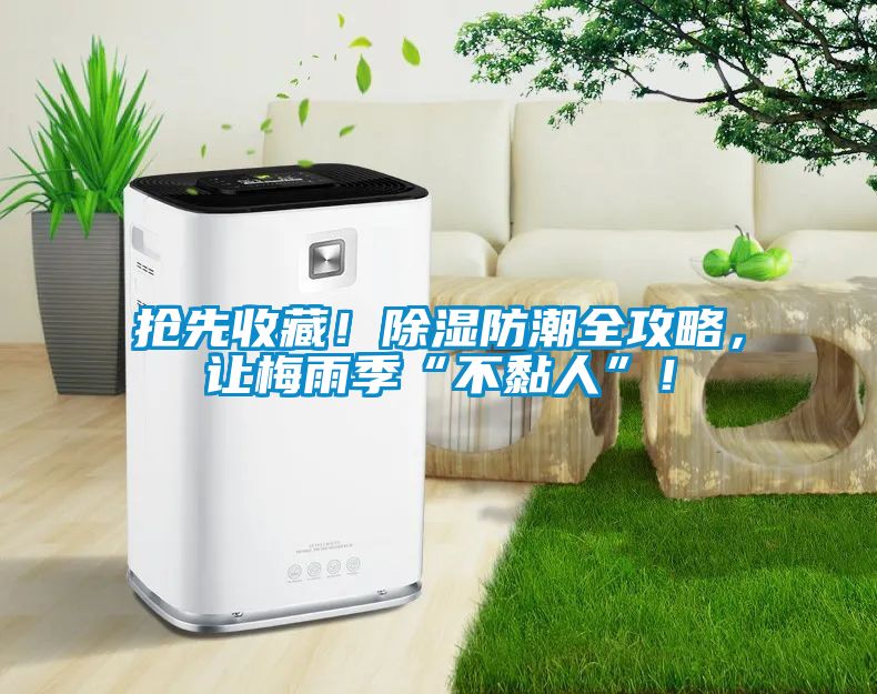 搶先收藏！除濕防潮全攻略，讓梅雨季“不黏人”！