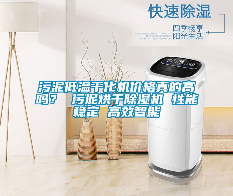 污泥低溫干化機(jī)價(jià)格真的高嗎？ 污泥烘干除濕機(jī) 性能穩(wěn)定 高效智能