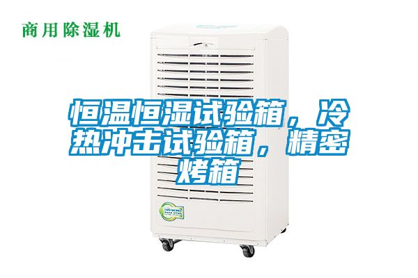 恒溫恒濕試驗箱，冷熱沖擊試驗箱，精密烤箱
