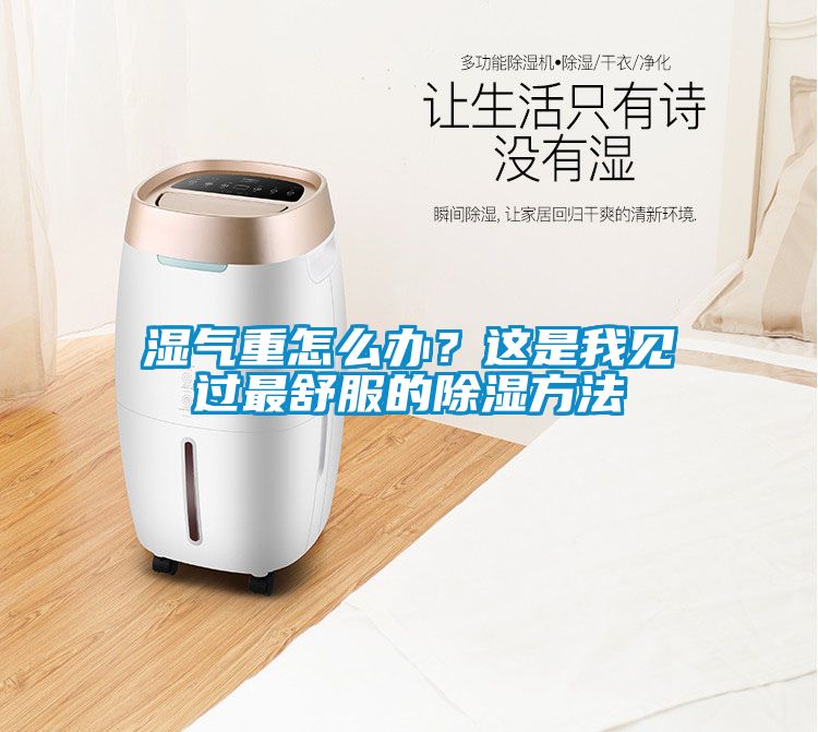 濕氣重怎么辦？這是我見過最舒服的除濕方法