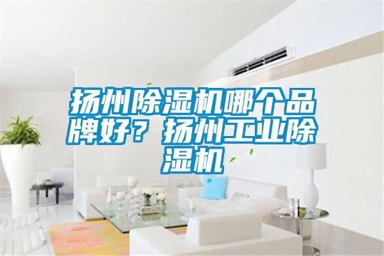 揚(yáng)州除濕機(jī)哪個品牌好？揚(yáng)州工業(yè)除濕機(jī)