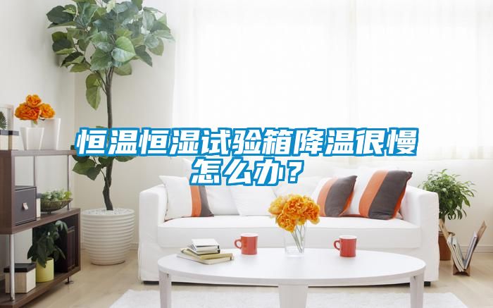 恒溫恒濕試驗箱降溫很慢怎么辦？