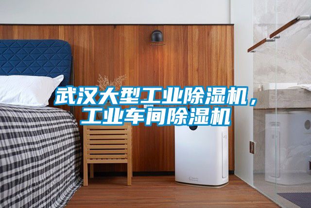 武漢大型工業(yè)除濕機(jī)，工業(yè)車間除濕機(jī)