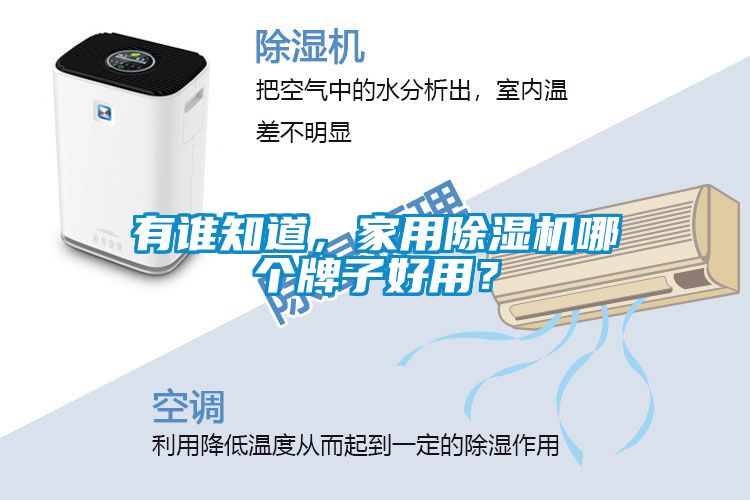 有誰知道，家用除濕機哪個牌子好用？